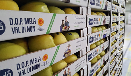 “Melinda ci mette la faccia” grazie a Ghelfi Ondulati