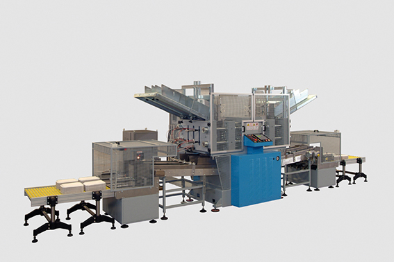 Eco-Sustainable Packaging