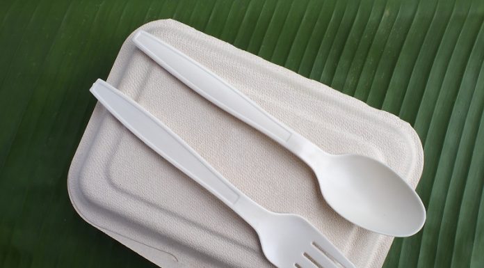 Packaging compostabile: la rivoluzione degli imballaggi alimentari