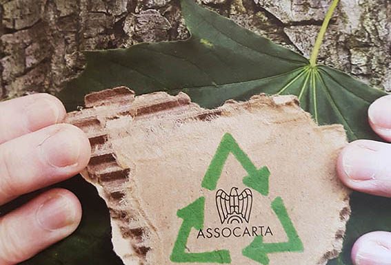 Federazione Carta e Grafica: il pacchetto legislativo “Fit for 2030” è incompleto