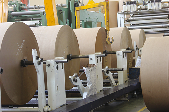 I risultati della Federazione Carta e Grafica nel 2020, una filiera essenziale!