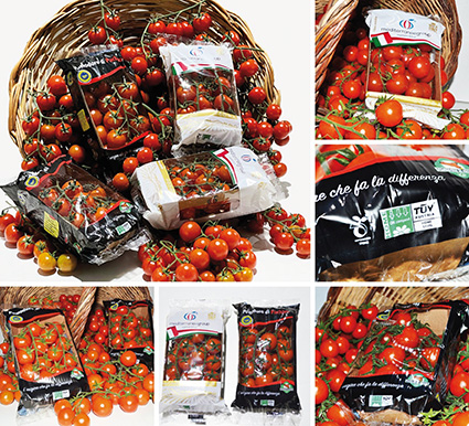 Gi.St.El. Plast adopts NatureFlex™ films for tomato wrapping