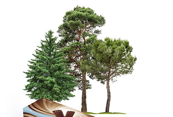 Innovia Films estende la certificazione ISCC Plus