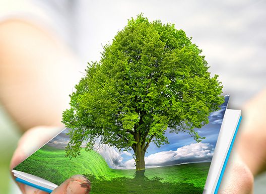 I risultati dell’ultima indagine TwoSides sul ruolo della carta post-pandemia