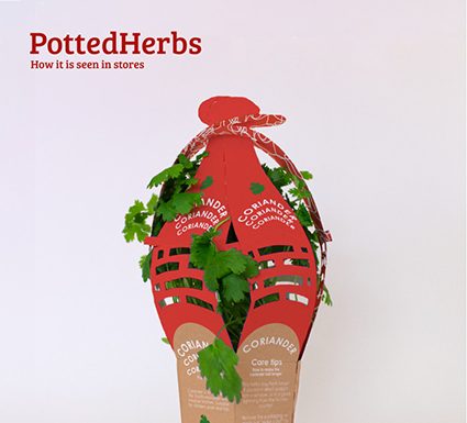 Pro Carton Young Designer Award 2021: aperto il voto “da casa”!