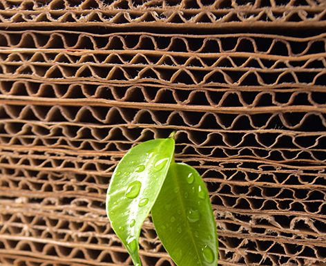 EcoForum Lazio: otto impianti cartari e una capacità di riciclo che assorbe quasi l’8% del consumo nazionale di carte da riciclare