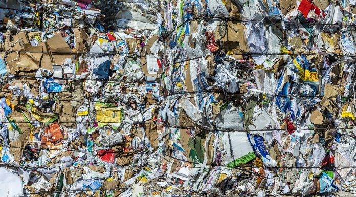 Paper Week 2022: macero risorsa strategica