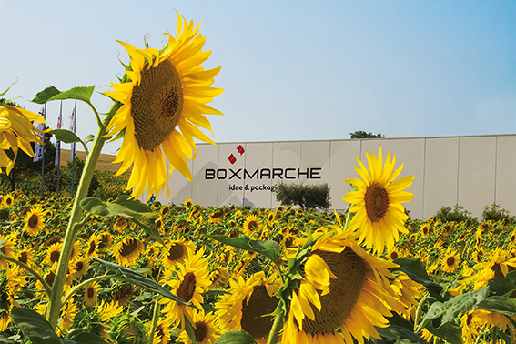 Azienda Box Marche