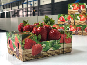 hp strawberry-tray