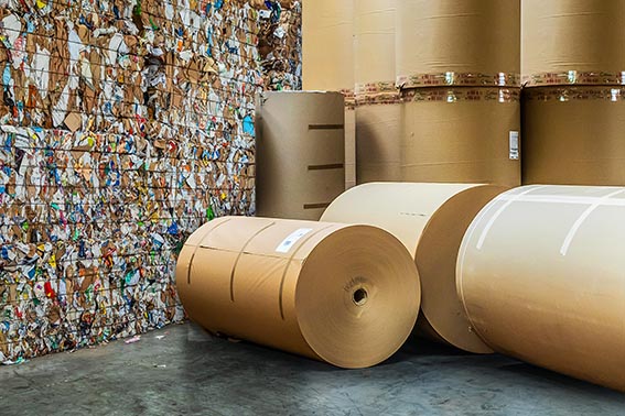 Gruppo Pro-Gest: prosegue il percorso di crescita Pro-Gest_Macero e Bobine (1)