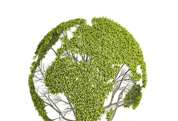 18 scuole ad indirizzo grafico hanno aderito con ben 60 progetti al concorso Two Sides Italia Two sides 18 scuole