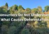 I consumatori non conoscono le vere cause della deforestazione consumatori deforestazione