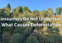 I consumatori non conoscono le vere cause della deforestazione consumatori deforestazione