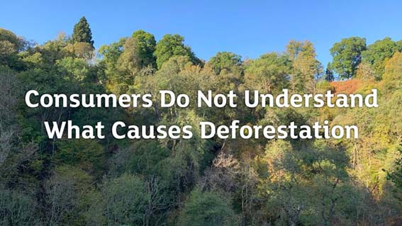consumatori deforestazione