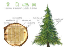 From forest to future: how paper carrier bags contribute to the circular bioeconomy sacco di carta
