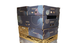 Smurfit Westrock Italia a Macfrut 2026 con il meglio del packaging a base carta per l’ortofrutta