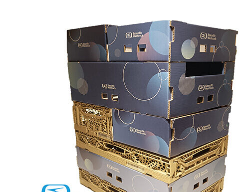 Smurfit Westrock Italia a Macfrut 2026 con il meglio del packaging a base carta per l’ortofrutta